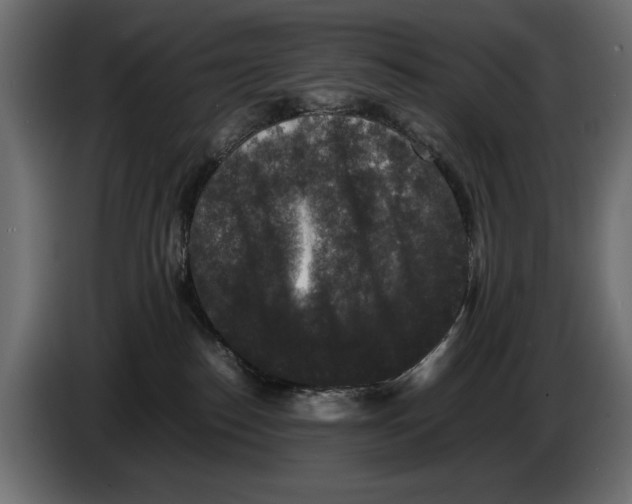 X0000082970186200703020242