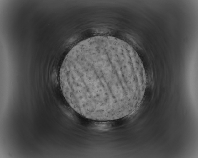 X0000082970187200703020242