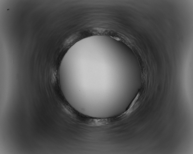 X0000082970188200703020242