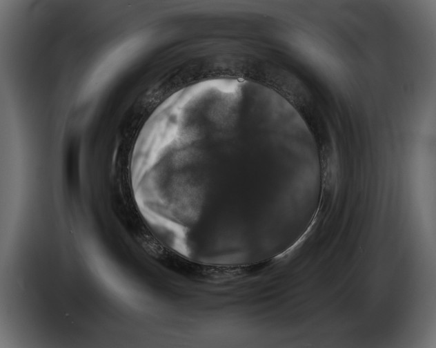 X0000082970191200703020242