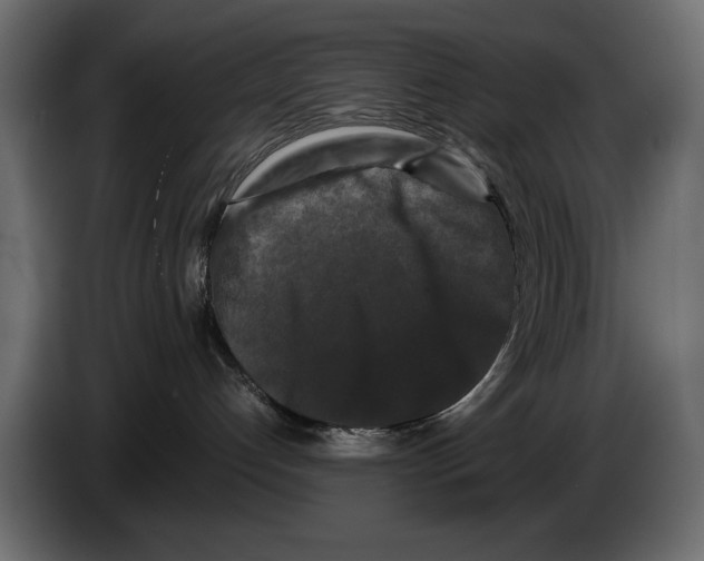 X0000082970192200703020242