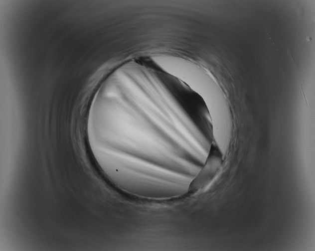 X0000082970193200703020242