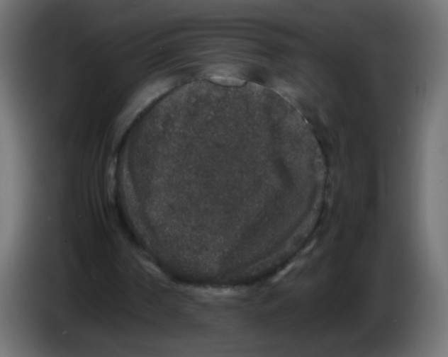 X0000082970194200703020242