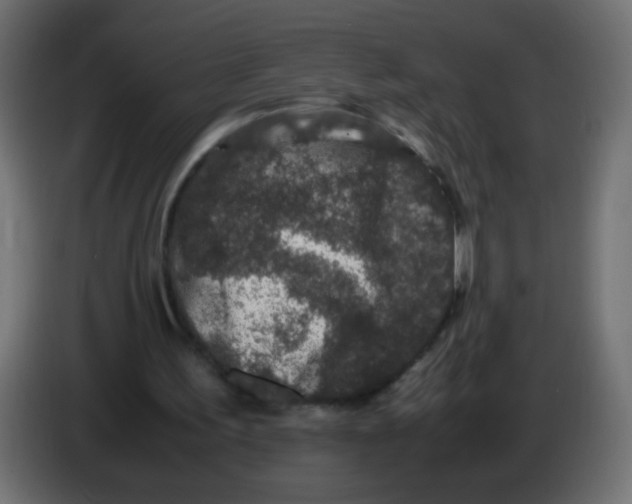 X0000082970195200703020242