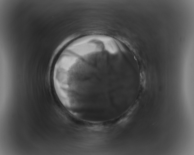 X0000082970196200703020242