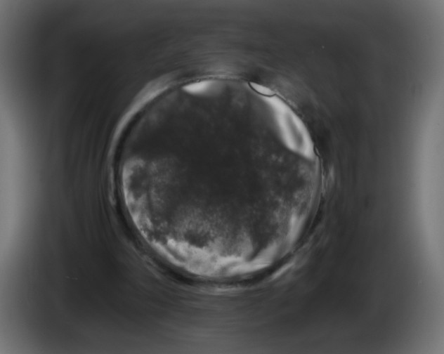 X0000082970198200703020242