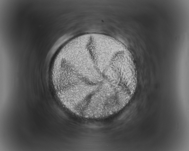 X0000082970199200703020242