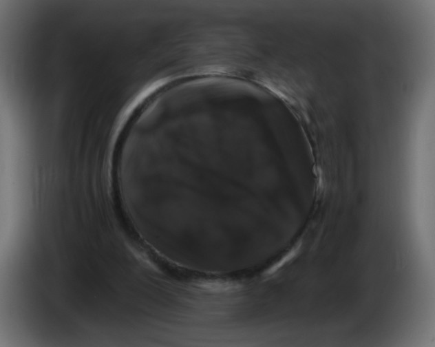 X0000082970200200703020242