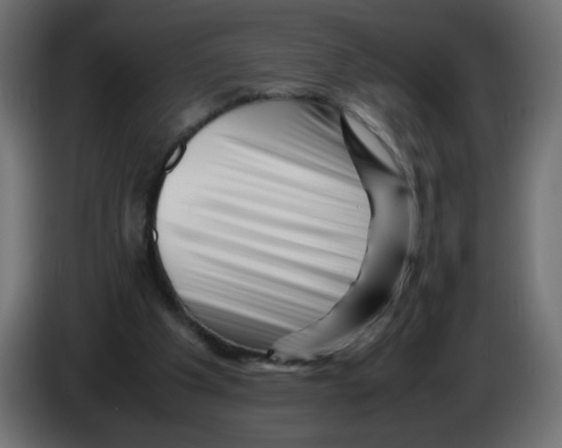 X0000082970201200703020242