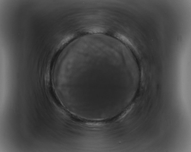 X0000082970202200703020242