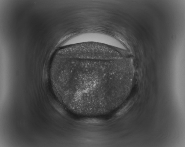 X0000082970203200703020242