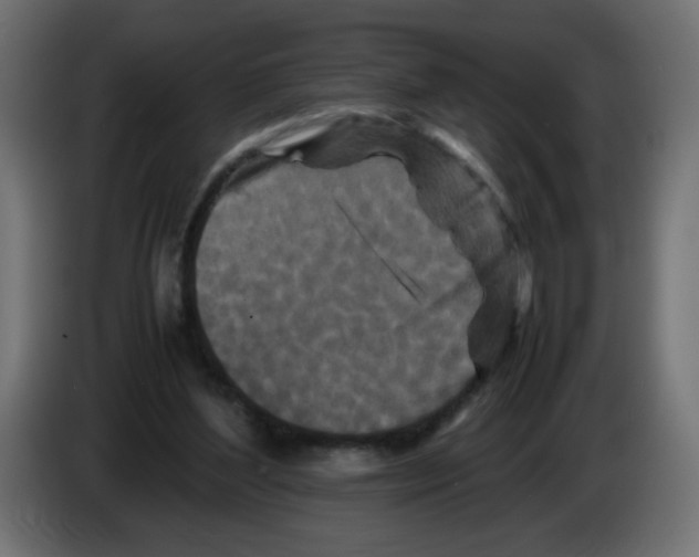 X0000082970204200703020242