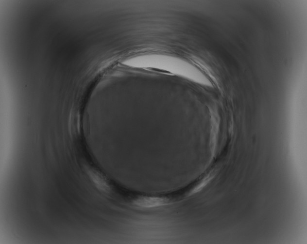 X0000082970205200703020242