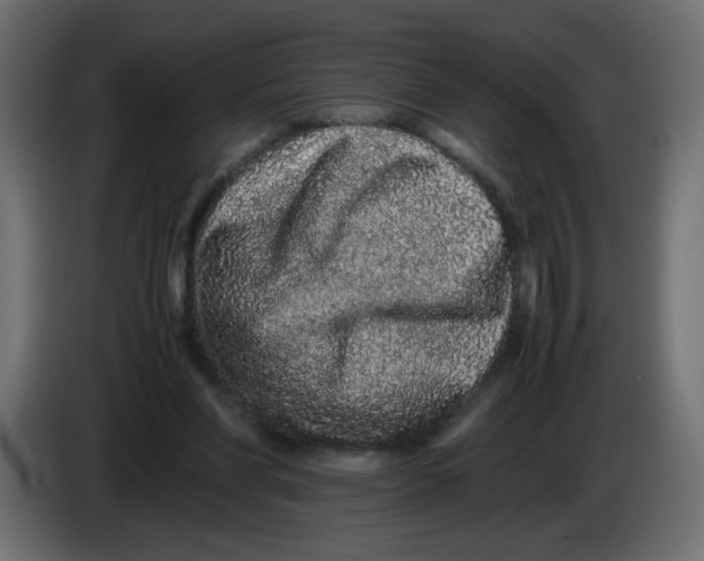 X0000082970206200703020242