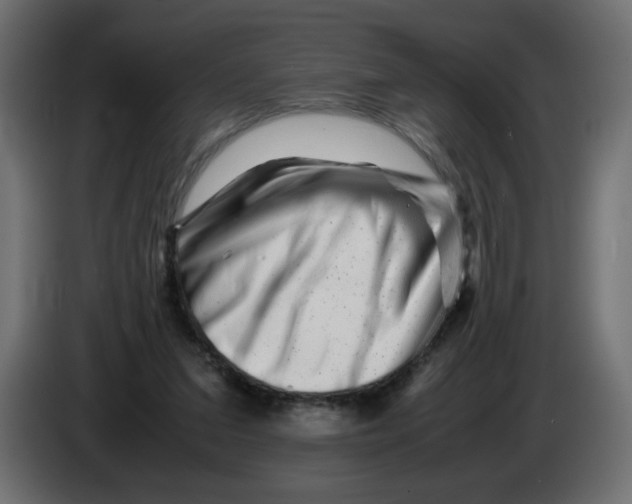 X0000082970207200703020241