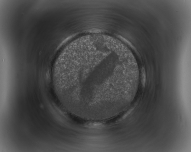 X0000082970208200703020241