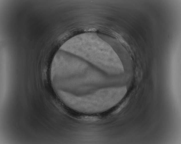 X0000082970209200703020241