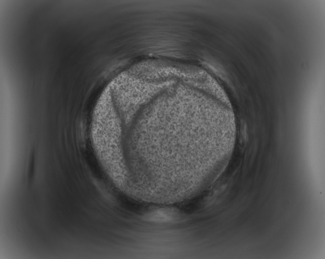 X0000082970210200703020241