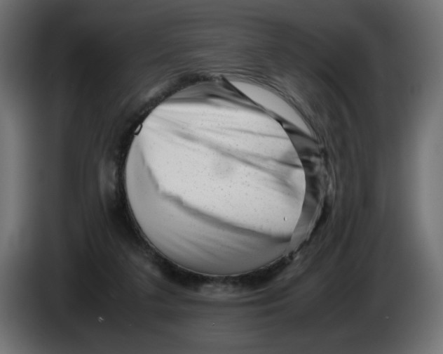 X0000082970211200703020241