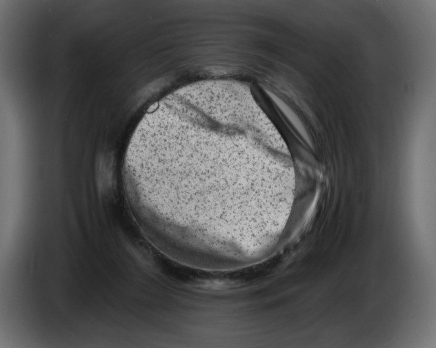 X0000082970212200703020241