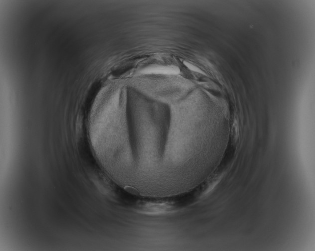 X0000082970213200703020241