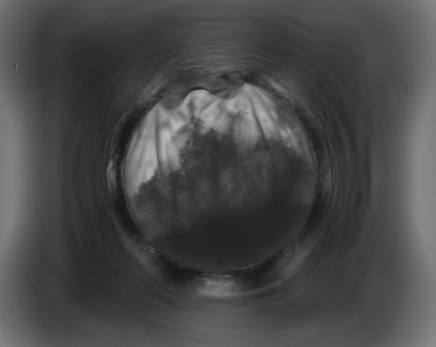 X0000082970214200703020241
