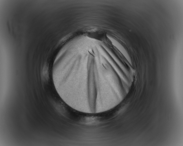 X0000082970216200703020241