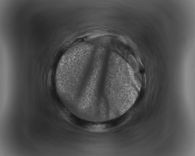 X0000082970217200703020241