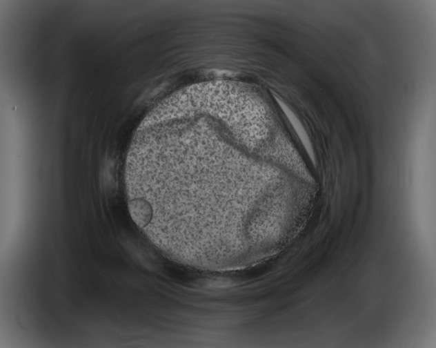 X0000082970218200703020241