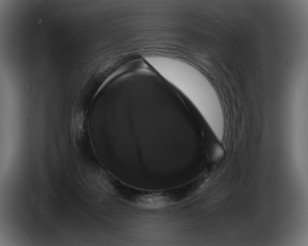 X0000082970219200703020241