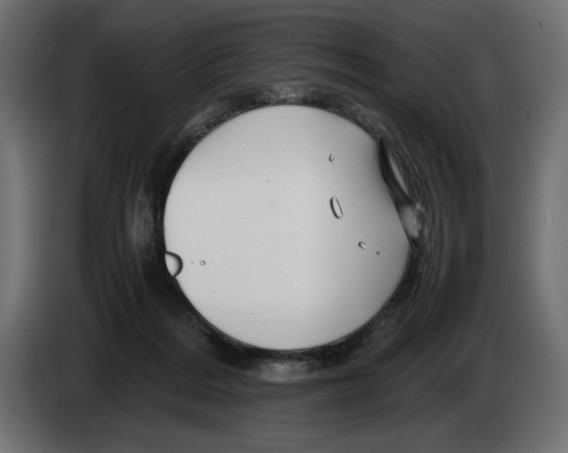 X0000082970220200703020241