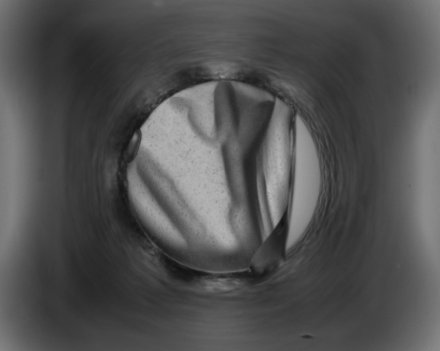 X0000082970221200703020241