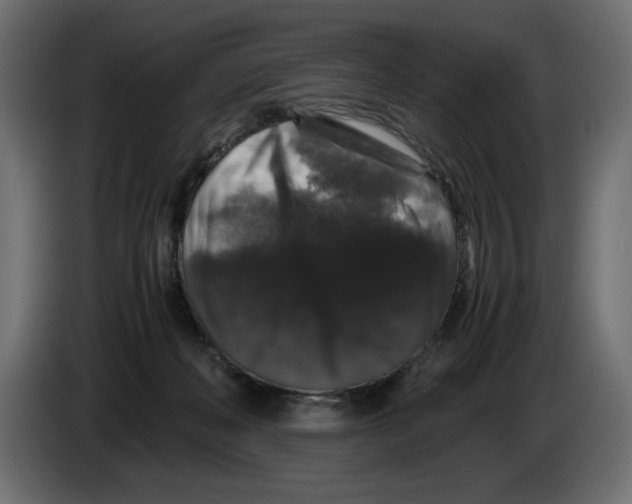 X0000082970222200703020241