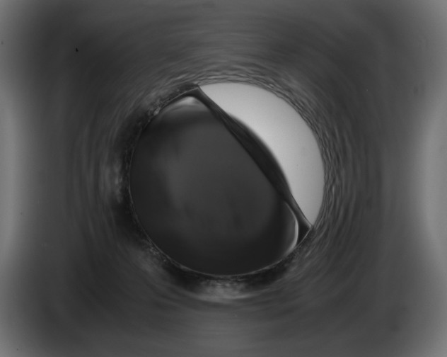 X0000082970223200703020241