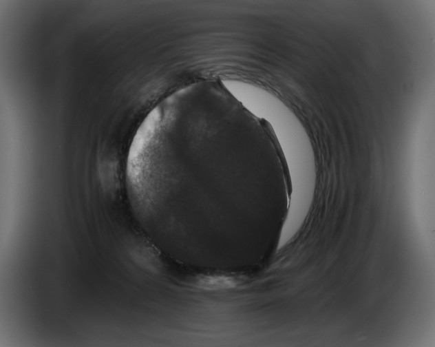 X0000082970224200703020241