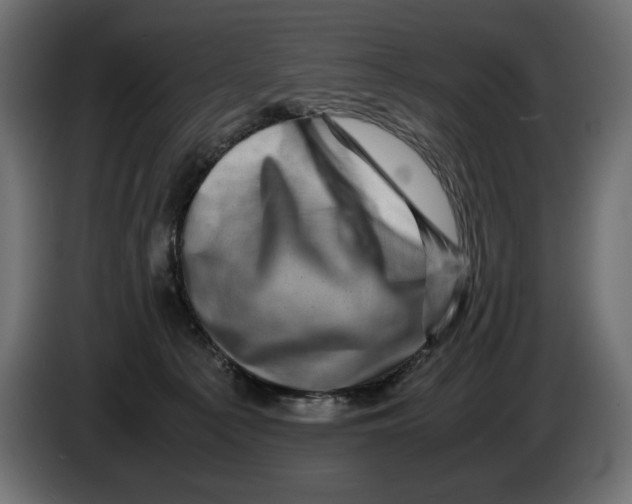 X0000082970225200703020241