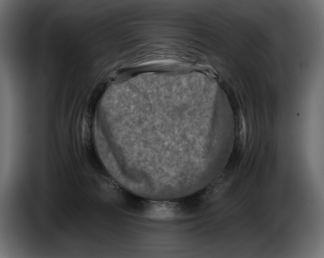 X0000082970226200703020241