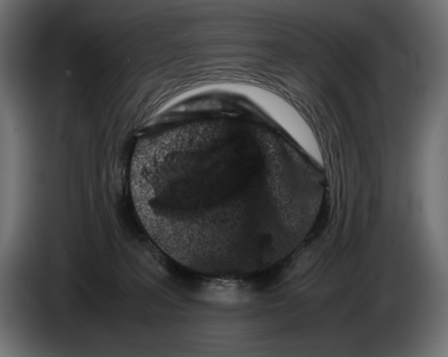 X0000082970227200703020241