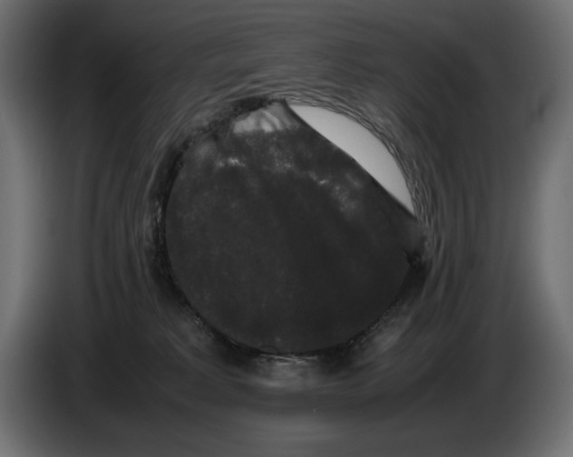 X0000082970229200703020241