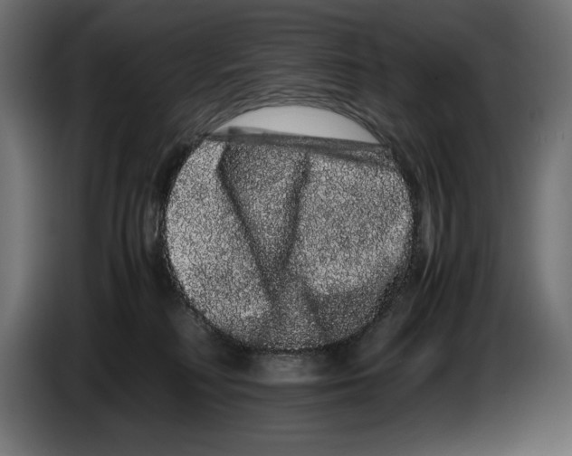X0000082970230200703020241