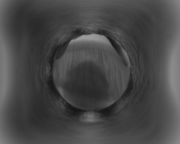X0000082970231200703020241