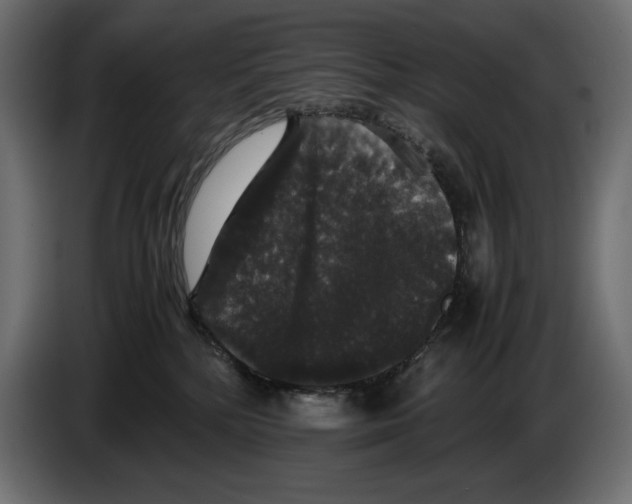 X0000082970232200703020241