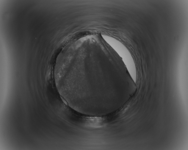 X0000082970233200703020241