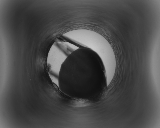 X0000082970235200703020241