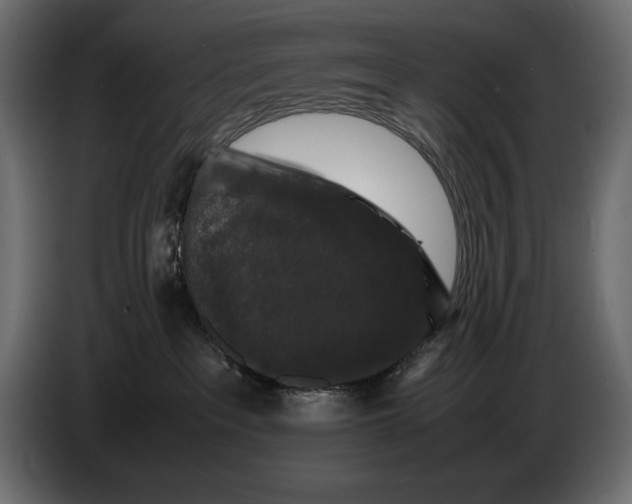 X0000082970237200703020241