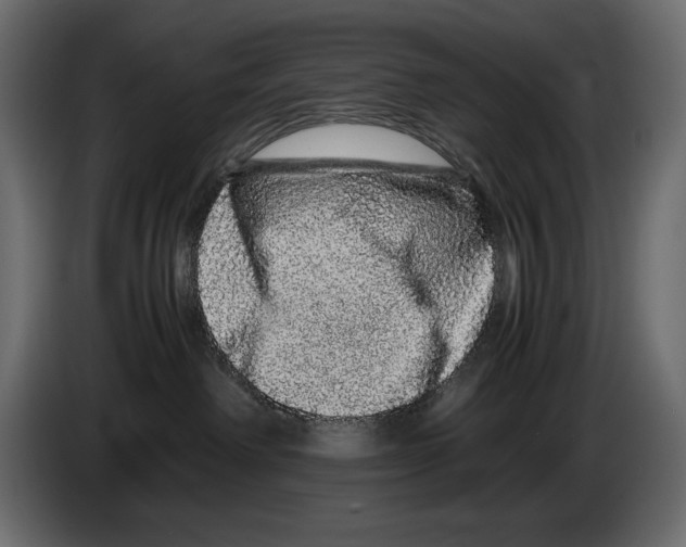 X0000082970238200703020241