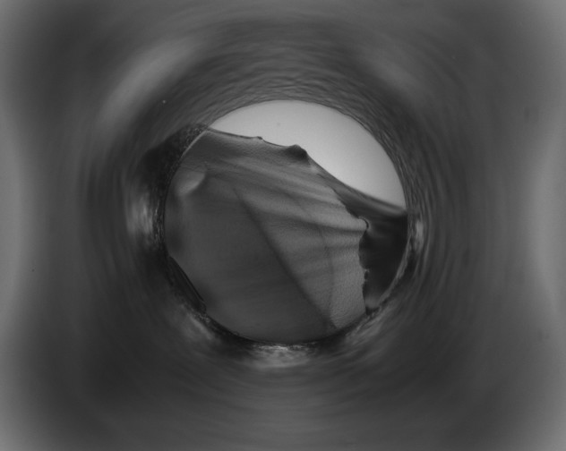 X0000082970239200703020241