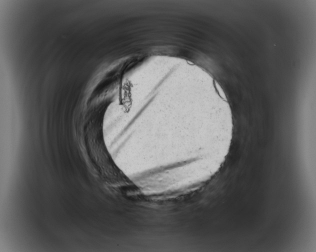 X0000082970241200703020240
