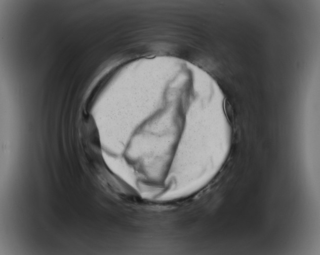 X0000082970242200703020240