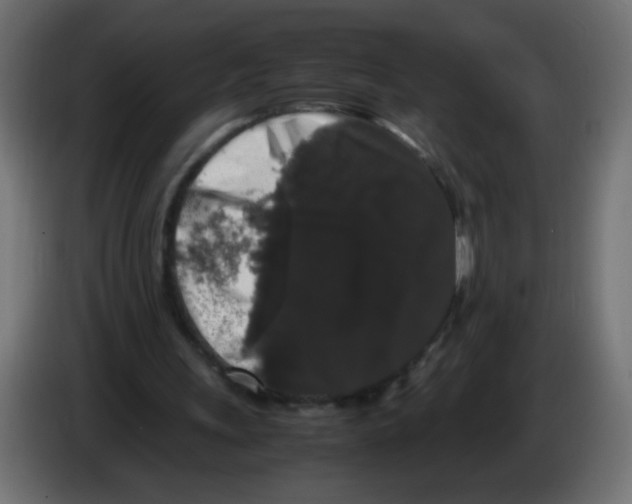 X0000082970243200703020240